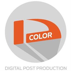 D-Color Srl, Roma orari di apertura