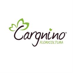 Cargnino Floricoltura, Barauda orari di apertura