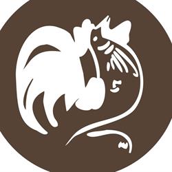 Sapori del Salento-BISTROT, Cinisello Balsamo orari di apertura