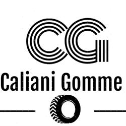 Caliani Gomme Di Caliani Giorgio, Prato orari di apertura