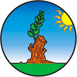ACAT PORTOGRUARESE, Portogruaro orari di apertura