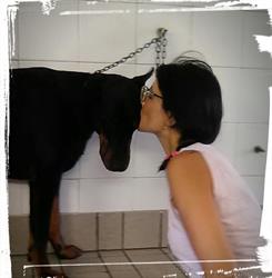 Francy For Pet Di Corvi Francesca, Codogno orari di apertura