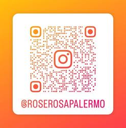 Rose Rosa, Palermo orari di apertura