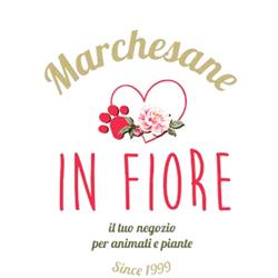 Marchesane In Fiore, Bassano del Grappa orari di apertura