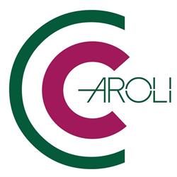 Caroli Elettronica di Caroli Laura & c. sas, Martina Franca orari di apertura