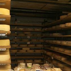 Paieri sas, Oggiono orari di apertura