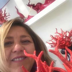 L’Artistico, Sant'Agnello orari di apertura