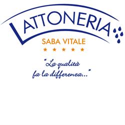 Lattoneria Saba Vitale, Marina di Pietrasanta orari di apertura