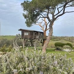 Agriturismo La Piantata, Arlena di Castro orari di apertura