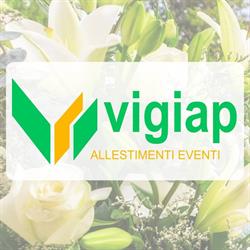 Vigiap Allestimenti Eventi Di Allocca Paolo, Somma Vesuviana orari di apertura