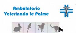 Ambulatorio veterinario Le Palme Dottoresse Nardini, Marioni e Segato, Orbetello orari di apertura