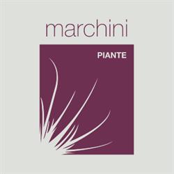 MARCHINI PIANTE SRL, Busto Arsizio orari di apertura