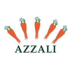 AZZALI S.R.L., Fontanellato orari di apertura