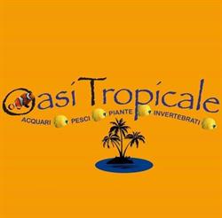 OASI TROPICALE DI MARCONE MASSIMO E ZAZA GIUSEPPE S.N.C., Biella orari di apertura