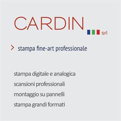 Cardin Fine Art, Limena orari di apertura