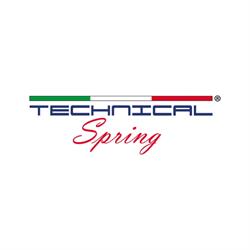 TECHNICAL SPRING DI CROVINI ANDREA - MOLLE, Passirano orari di apertura