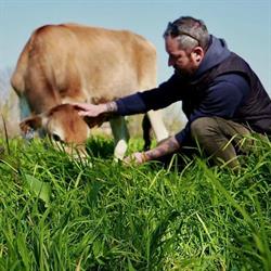 EURO HOLSTEIN S.R.L., Piacenza orari di apertura