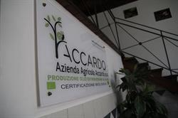 Azienda Agricola Biologica dei Fratelli Accardo, Camporeale orari di apertura