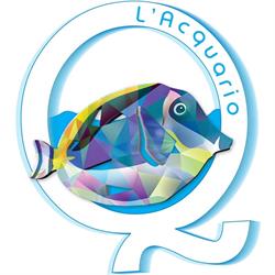 L’ Acquario Anima House, Roma orari di apertura