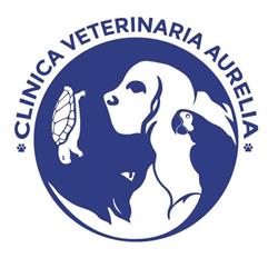 CLINICA VETERINARIA AURELIA S.R.L., Roma orari di apertura