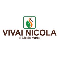 VIVAI NICOLA DI NICOLA MARCO, Mombercelli orari di apertura