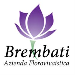 FIORERIA DI BREMBATI GIORGIO E C. S.N.C., Brescia orari di apertura