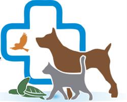 Clinica Veterinaria Sant'Antonio, Ragusa orari di apertura