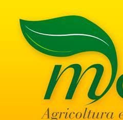Consorzio Agrario Modeo agrimodeo Mag srl, Manduria orari di apertura