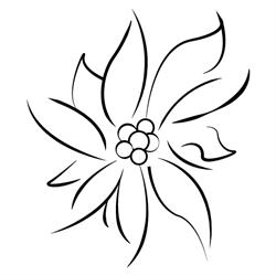 Edelweiss - Carpenteria, Trento orari di apertura