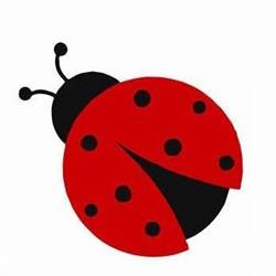 Centro La Coccinella, Ascoli Piceno orari di apertura