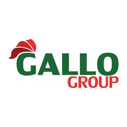 Gallo Group Srl, Pogliano Milanese orari di apertura