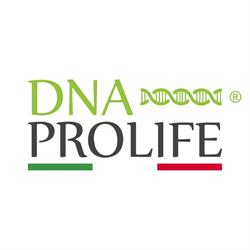DIENNEA PROLIFE SRLs, Borgo San Lorenzo orari di apertura
