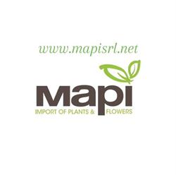 MAPI S.R.L., Ronco Biellese orari di apertura