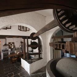 CASALE AMATI DI LIVIA GUADAGNUCCI, Ortonovo orari di apertura