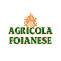 AGRICOLA FOIANESE DI PIZZILLO ORAZIO & C. S.N.C., Foiano della Chiana orari di apertura