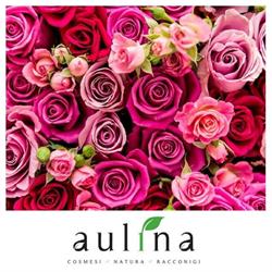 AULINA S.R.L., Racconigi orari di apertura