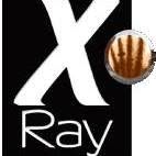 X-RAY SERVICE SRL, Brescia orari di apertura