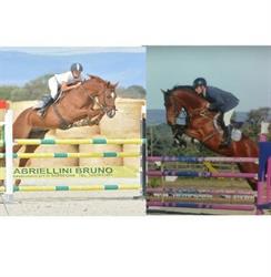 Centro Equestre Li Tauli - A.S.D. - Olbia- Sardegna, orari di apertura