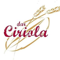 DAR CIRIOLA SOCIETA' A RESPONSABILITA' LIMITATA SEMPLIFICATA, Roma orari di apertura