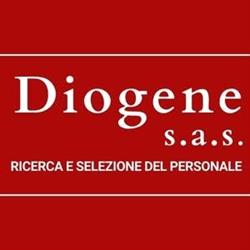 DIOGENE S.A.S. DI LORENZA BIASINI & C., Bologna orari di apertura