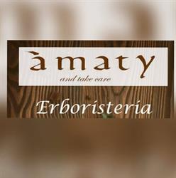 AMATY SOCIETA' A RESPONSABILITA' LIMITATA SEMPLIFICATA, Bari orari di apertura