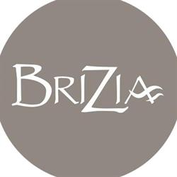 BRIZIA SOCIETA' A RESPONSABILITA' LIMITATA SEMPLIFICATA, Palermo orari di apertura