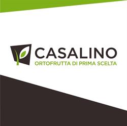 CASALINO S.R.L., San Marzano sul Sarno orari di apertura