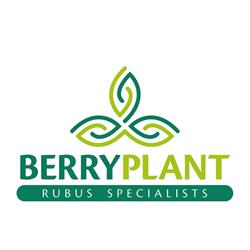 BERRYPLANT DI GRISENTI MARIA MADDALENA & C. SOCIETA' SEMPLICE AGRICOLA, Baselga di Pinè orari di apertura