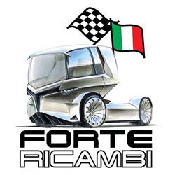 Forte Ricambi S.R.L. - Ricambi Per Veicoli Industriali, Beinasco orari di apertura