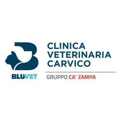 Clinica Veterinaria Carvico - BluVet, orari di apertura