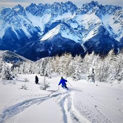 Noleggio Sci Dolomiti Ski Bar Forni di Sopra, orari di apertura