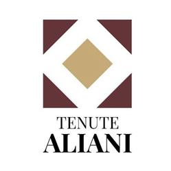 Tenute Aliani - Castello di Ramazzano, Ponte Felcino orari di apertura