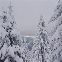 La Molinela Bed & Breakfast, Folgaria orari di apertura