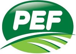 PEF s.r.l., Chioggia orari di apertura